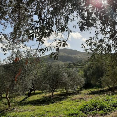 auf der Plantage Richtung Süden