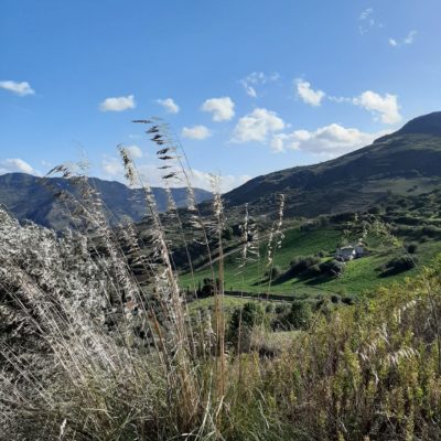 auf der Plantage Richtung Süd-Westen